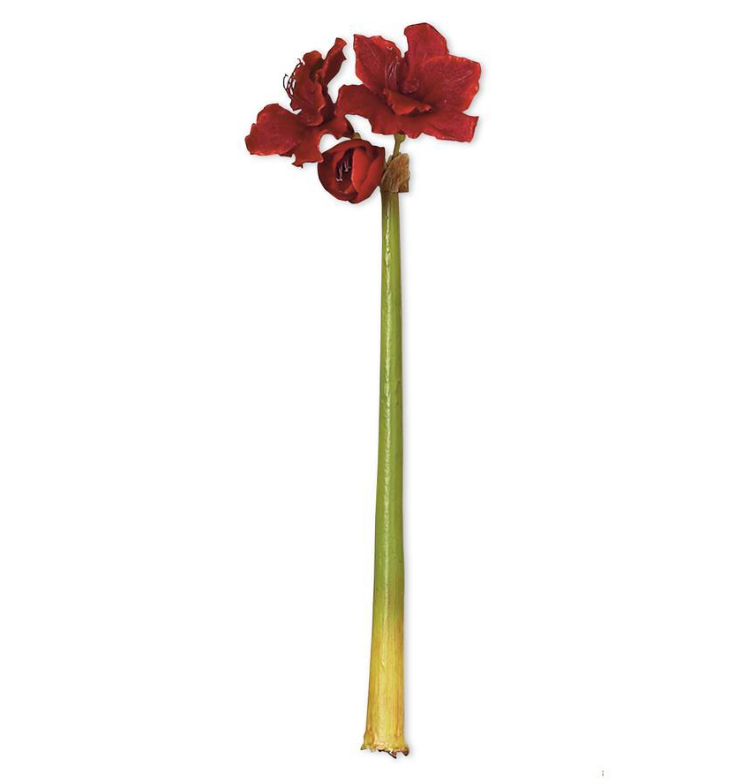Artificial red amaryllis stem.