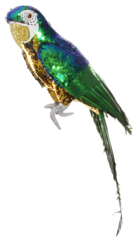 Sequin Parrot Sitting