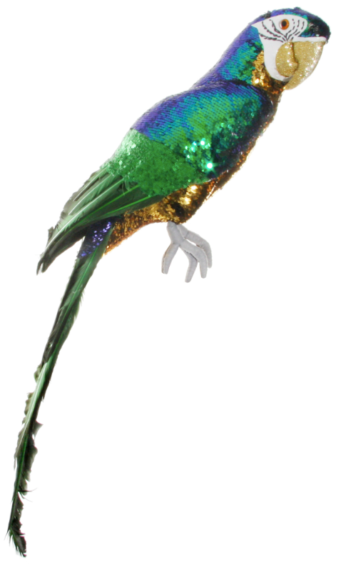 Sequin Parrot Sitting