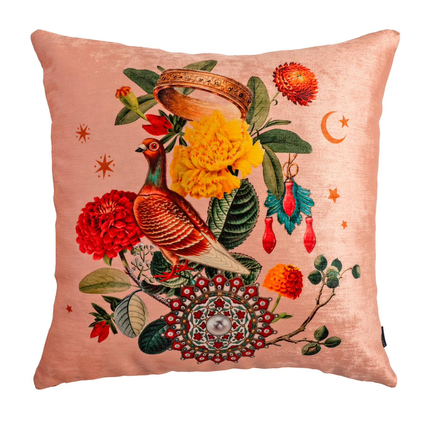 Rama Pigeon - Muzaluci Velvet Pillow