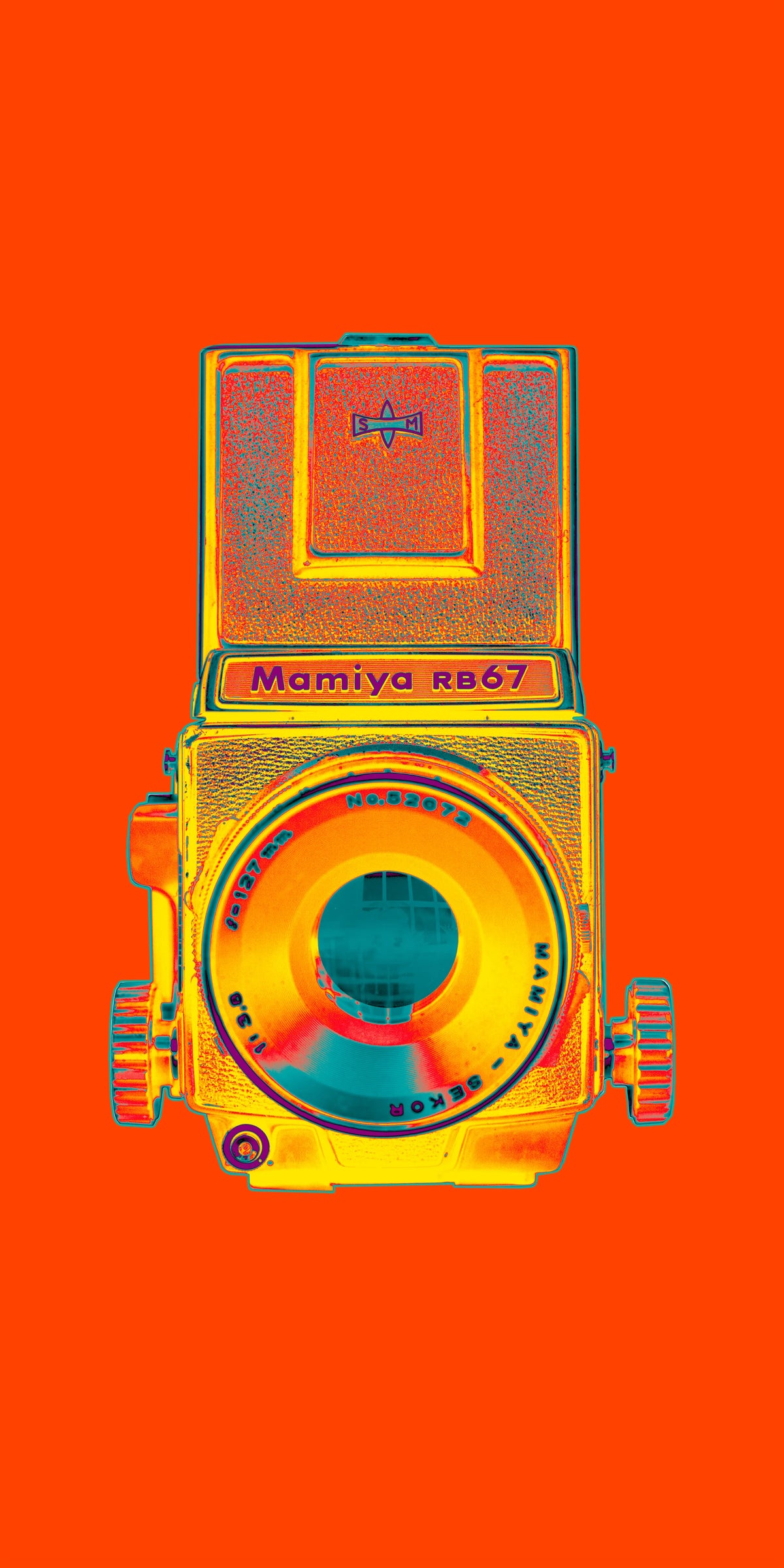 Mamiya RB67 Camera Art