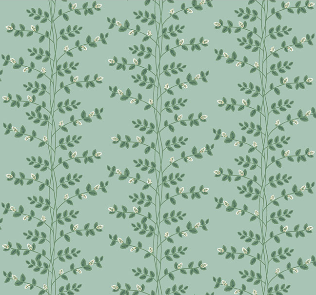 Climbing Vine Wallpaper by Rifle Paper Co. (6 Colourways)