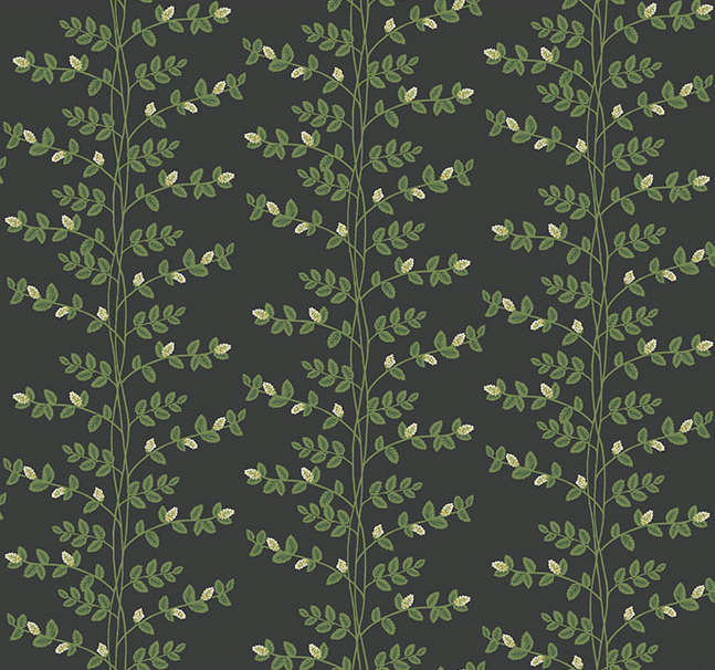 Climbing Vine Wallpaper by Rifle Paper Co. (6 Colourways)