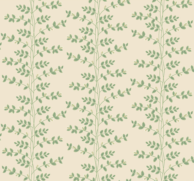 Climbing Vine Wallpaper by Rifle Paper Co. (6 Colourways)