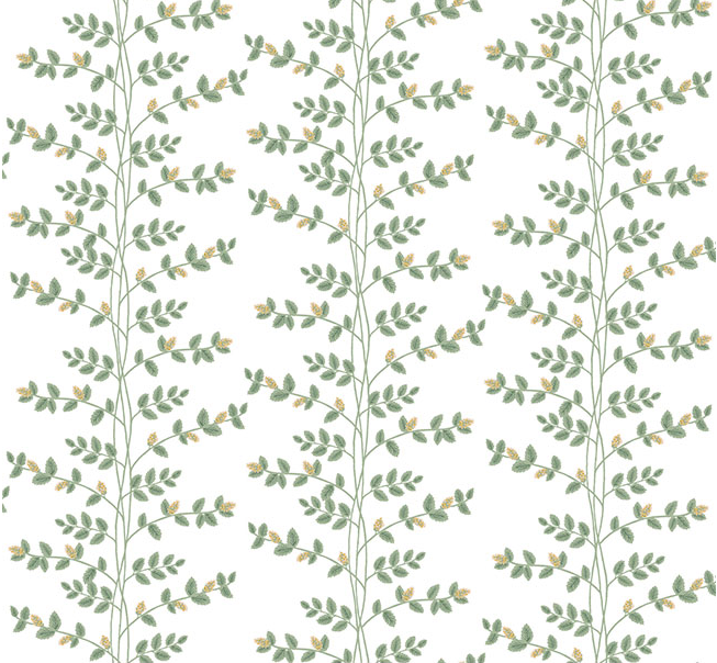 Climbing Vine Wallpaper by Rifle Paper Co. (6 Colourways)