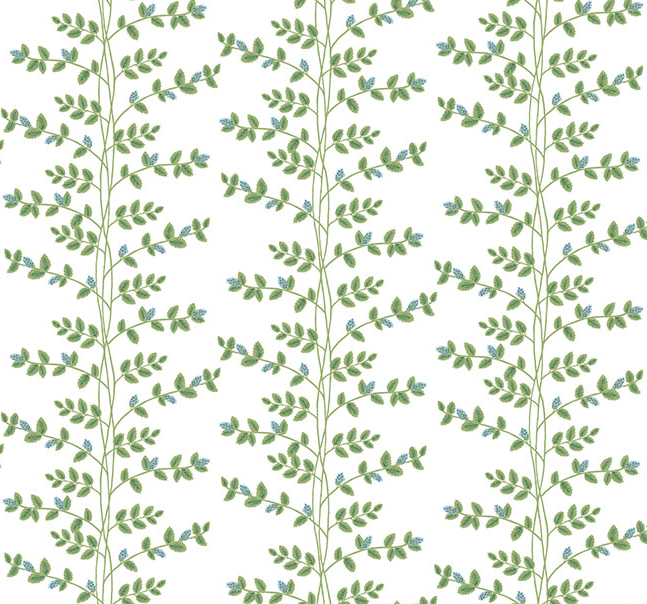 Climbing Vine Wallpaper by Rifle Paper Co. (6 Colourways)