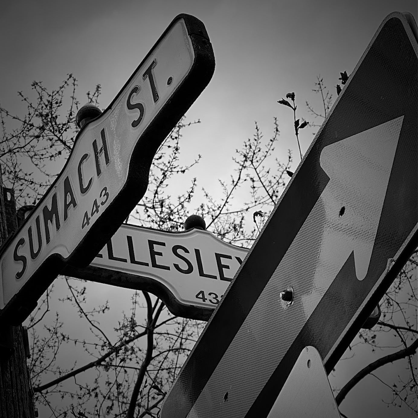 Sumach & Wellesley- Ceramic Coaster