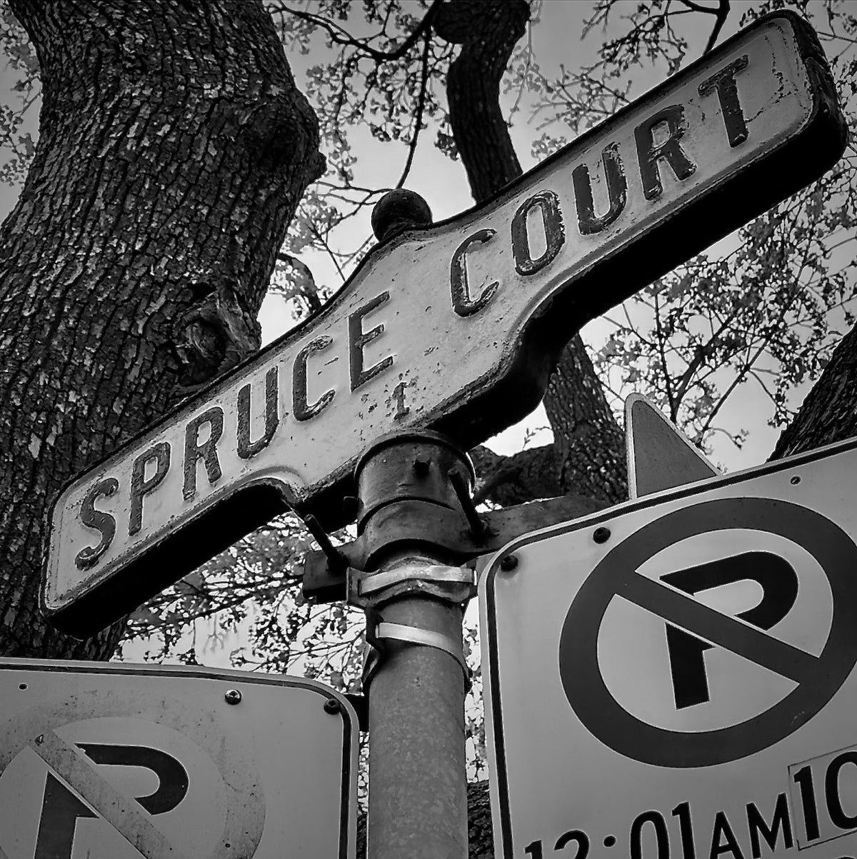 Spruce Court- Ceramic Coaster