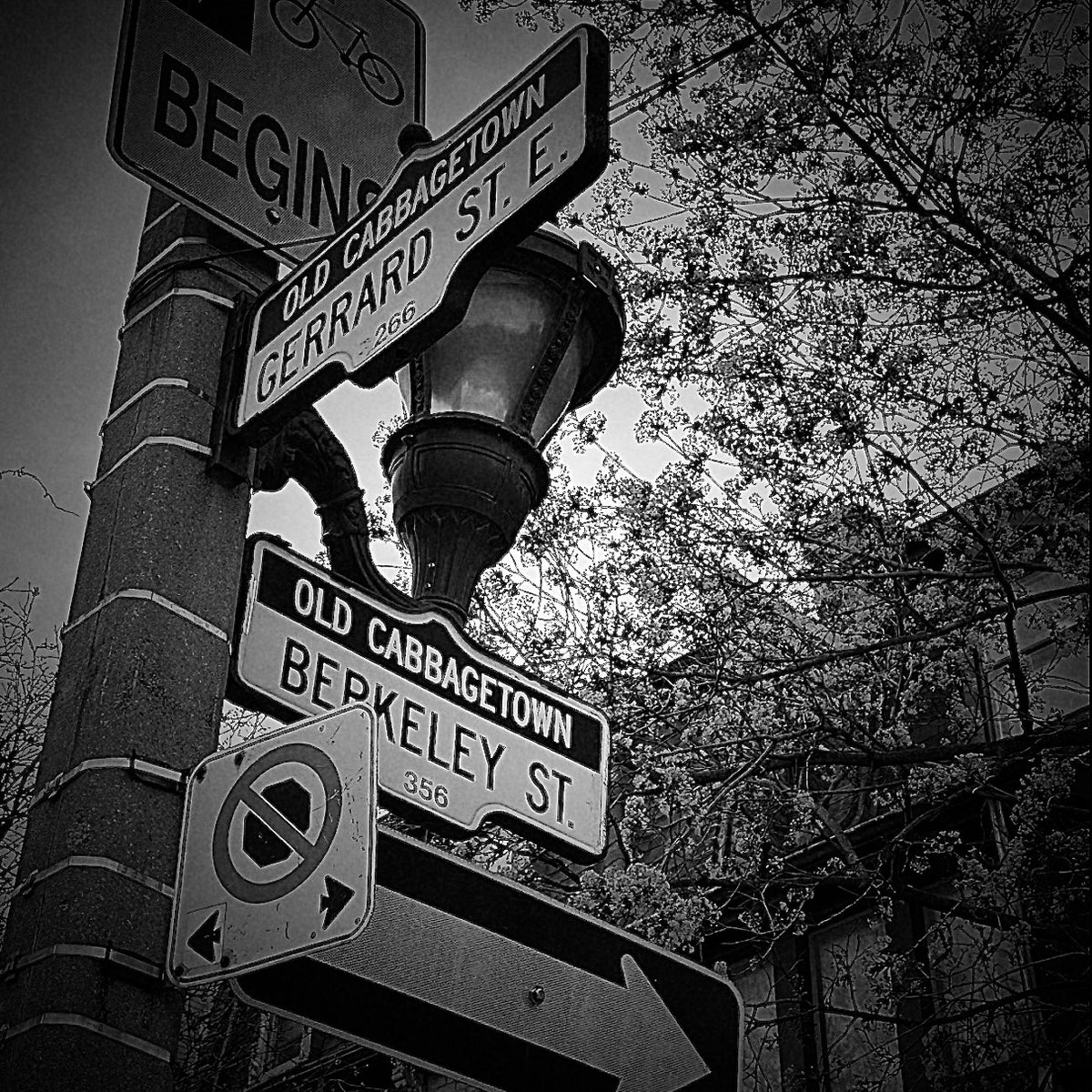 Gerrard & Berkeley- Ceramic Coaster