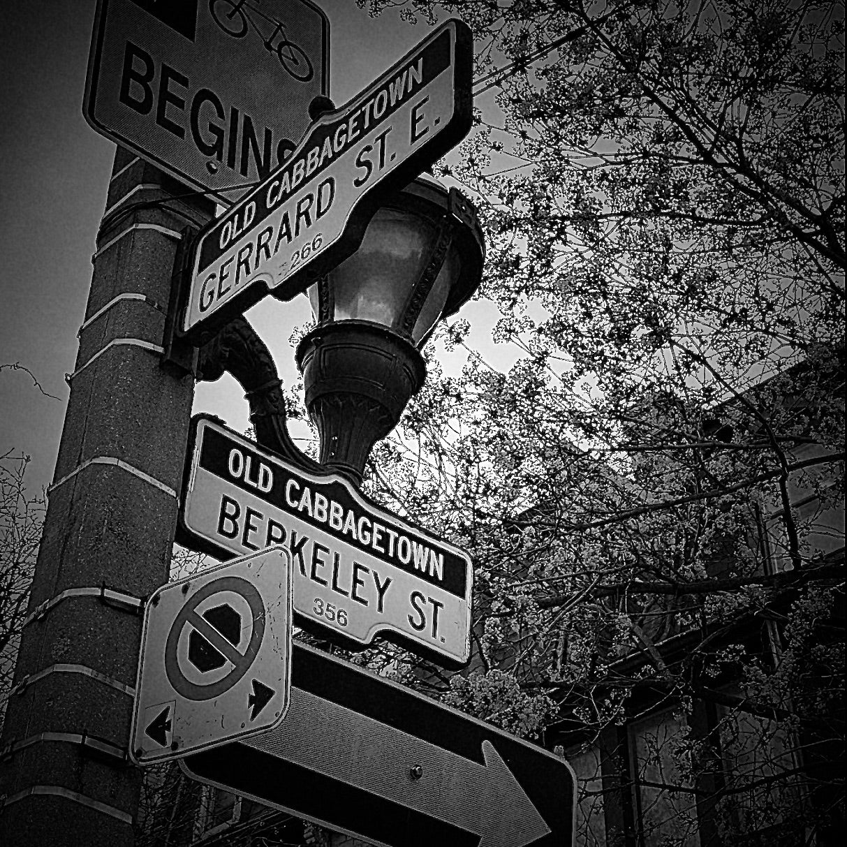 Gerrard & Berkeley- Ceramic Coaster