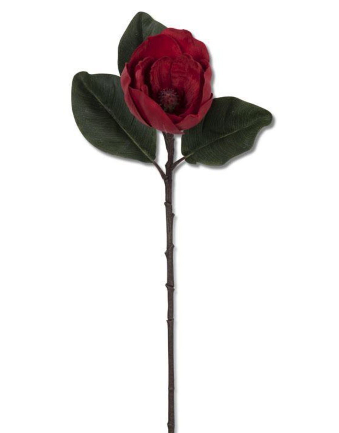 Red Magnolia 30"