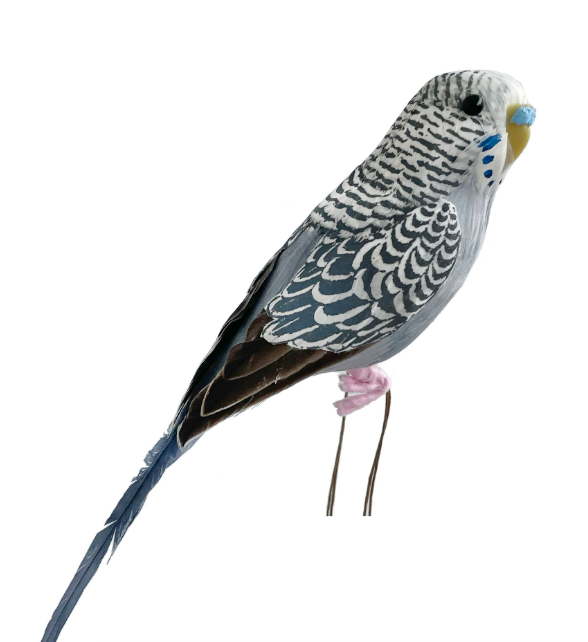 Feather Parrot Grey 20cm