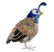 Seguin Quail