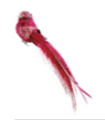 Burgundy Velvet Feather Bird
