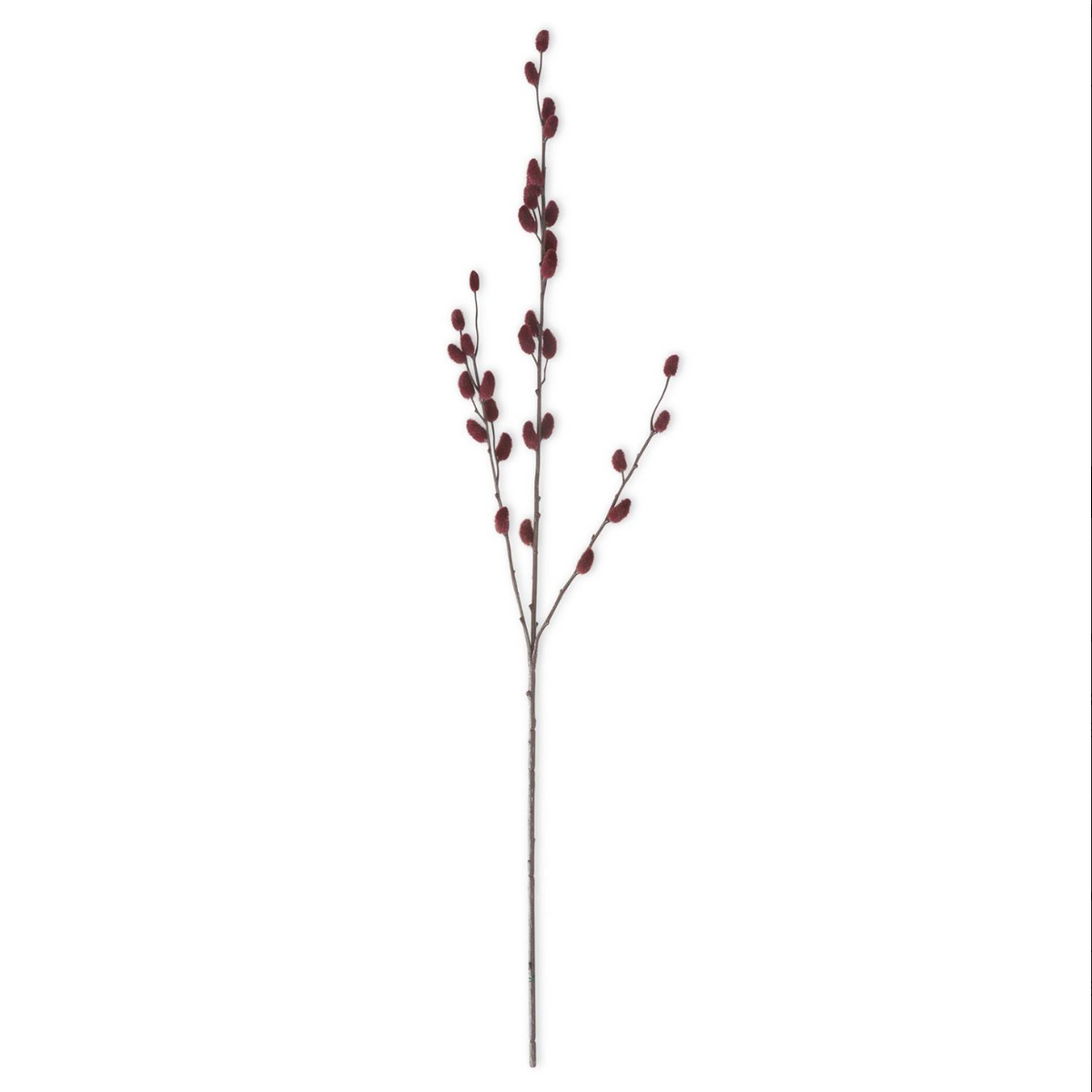 Pussy Willow Stem - Burgundy, 33"