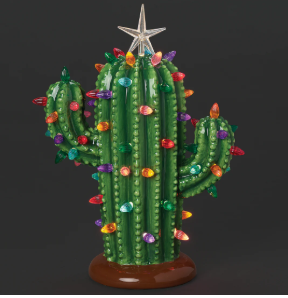 12.5" Lighted Ceramic Cactus