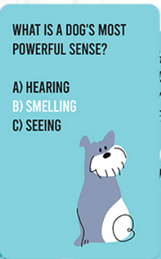 Dog Quiz Pet Game