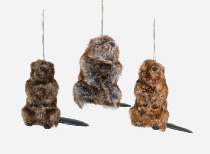 Furry Beaver