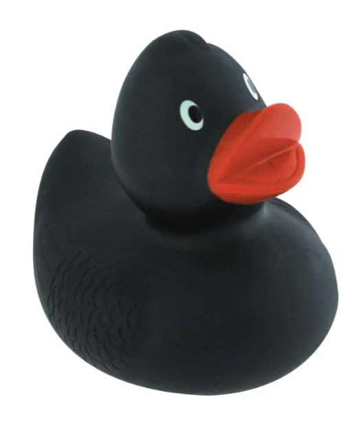 Rubber Duckies Multi Colour