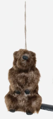 Furry Beaver