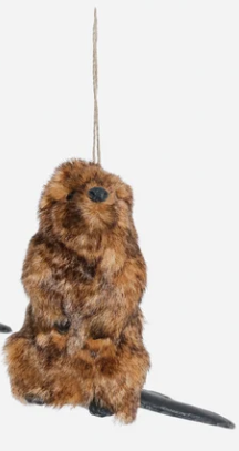 Furry Beaver