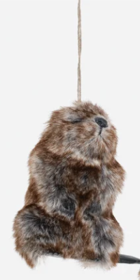 Furry Beaver