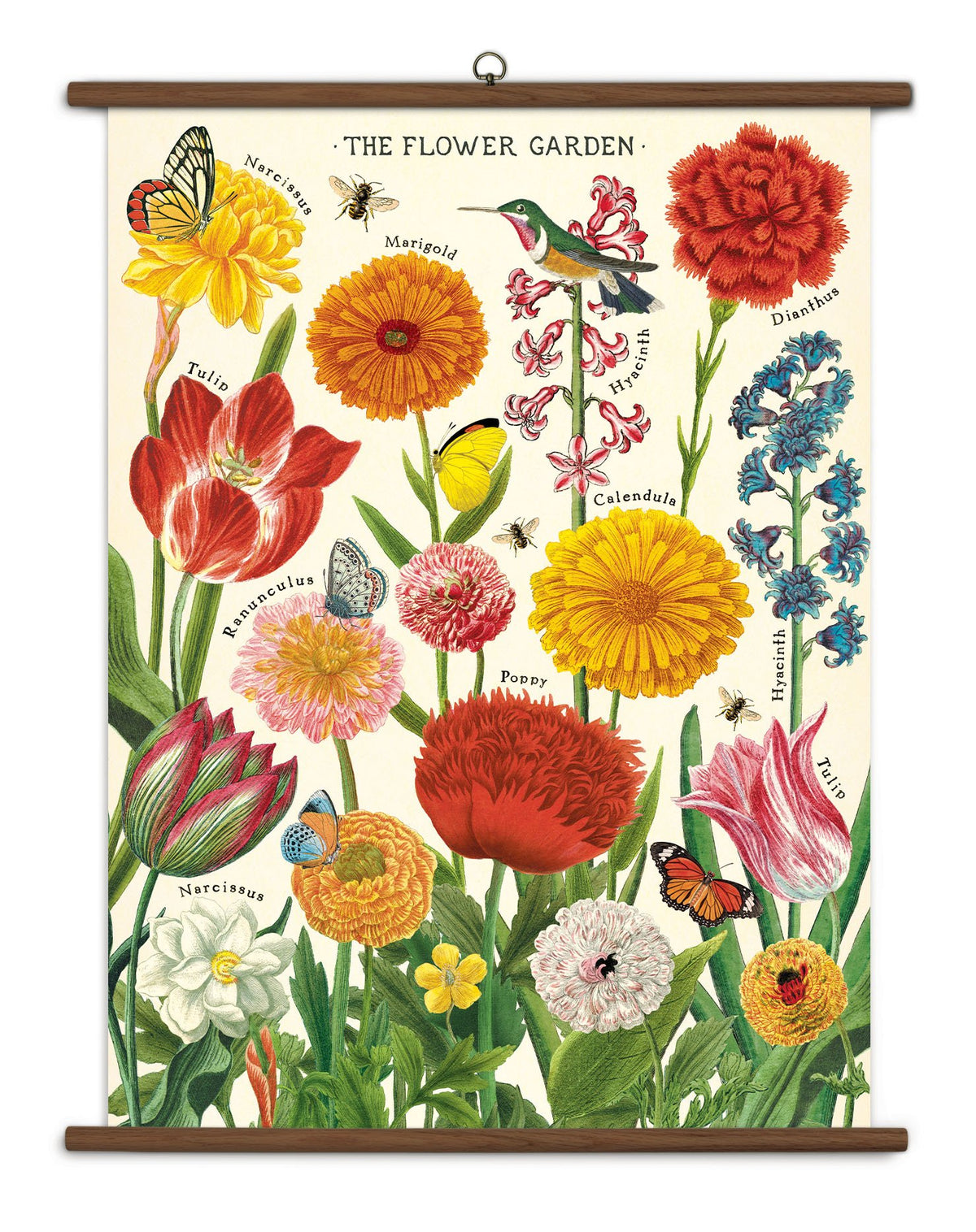 Vintage School Chart