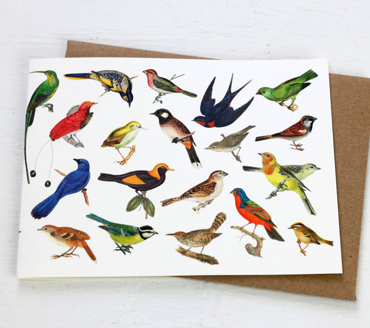 Song Birds Card