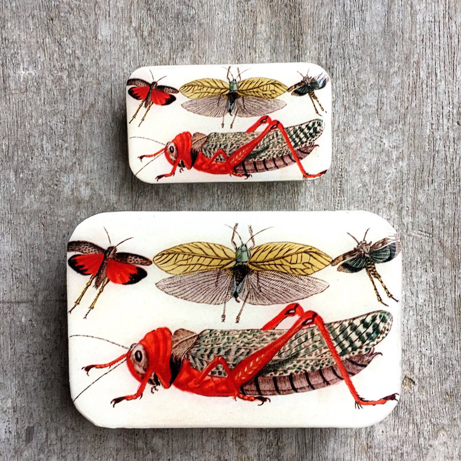 Cricket Storage Tin: Large