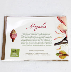 Magnolia Card