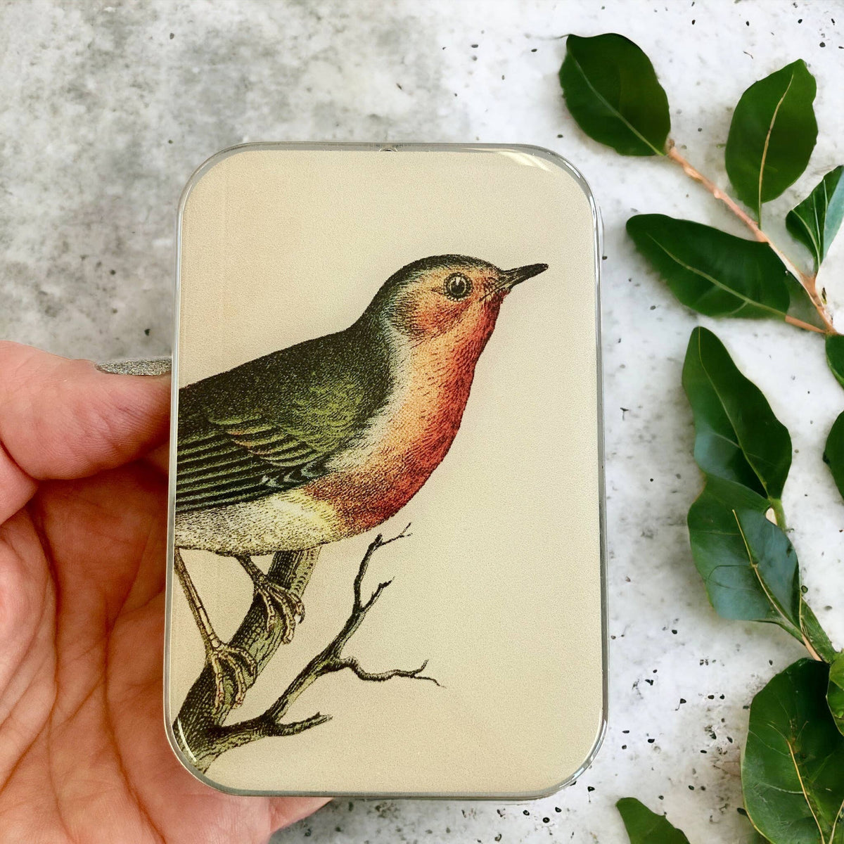 Robin Notions tin: Small