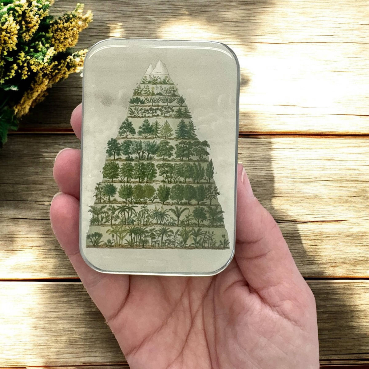 Nature Meets Nostalgia – Large Tin 