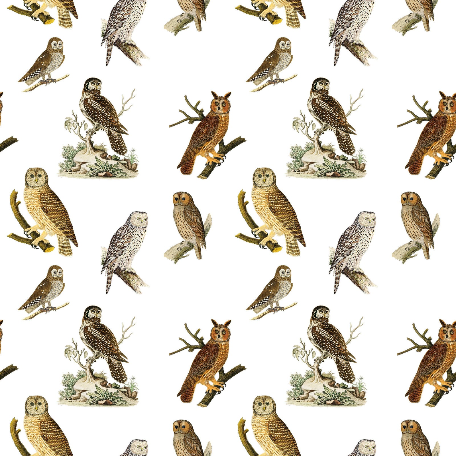 Owls Gift Wrap Single Sheet