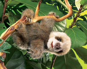 baby sloth hand puppet