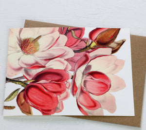 Magnolia Card