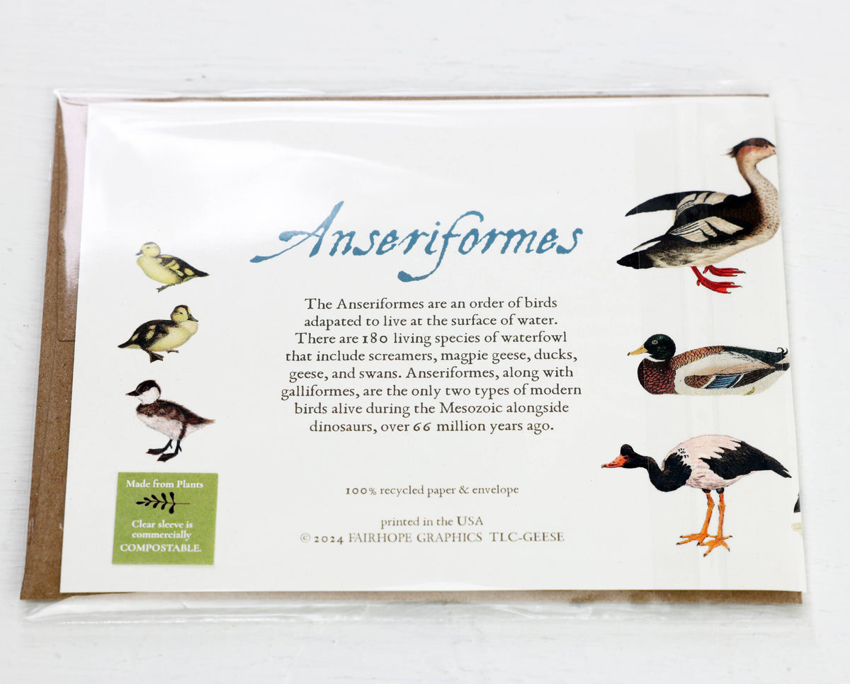 Ducks and Geese card