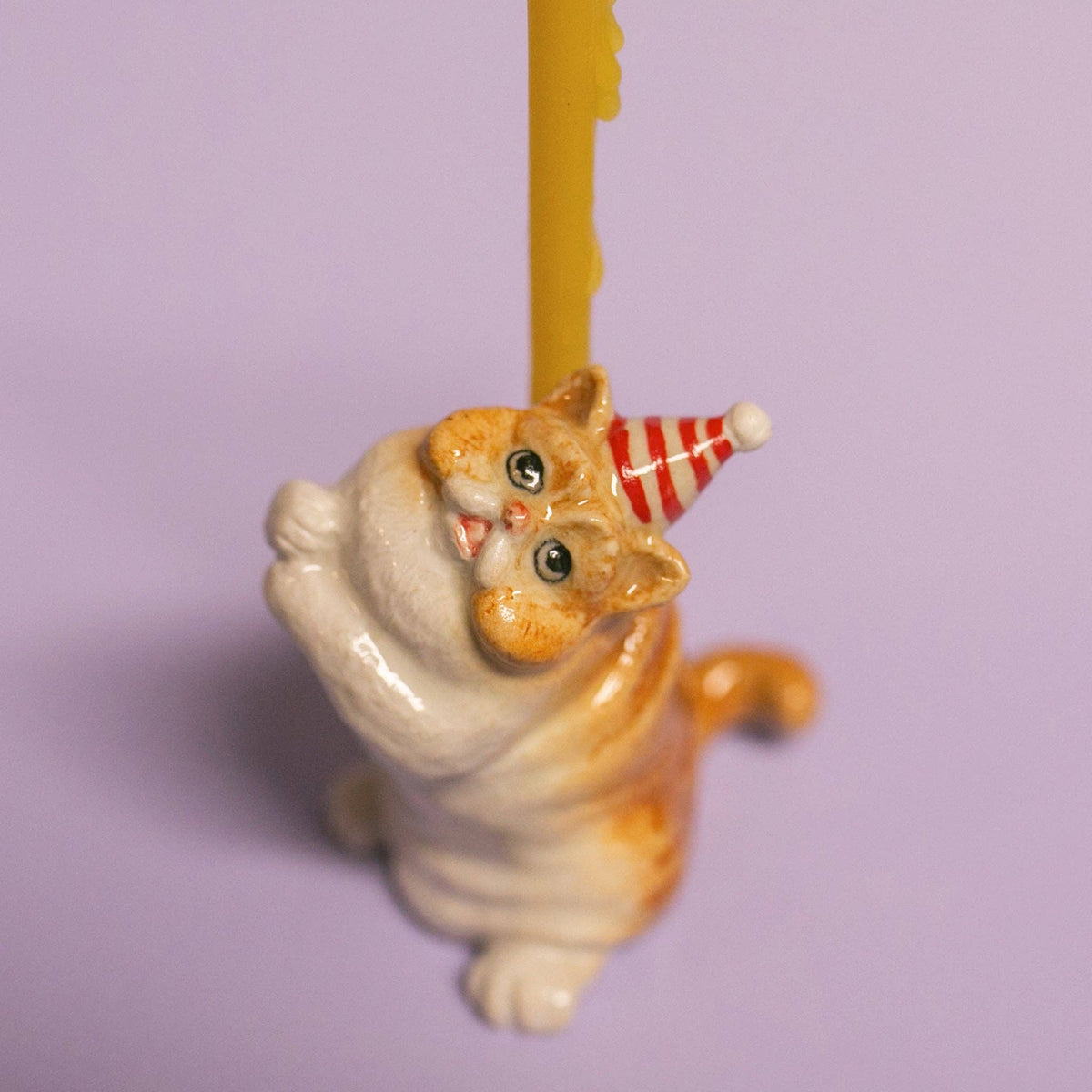 Exotic Shorthair Cat Cake Topper