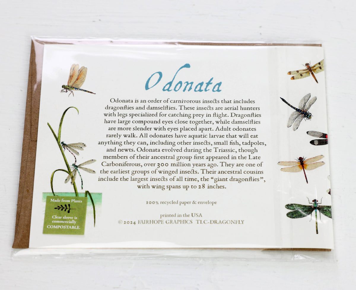 Dragonflies Card