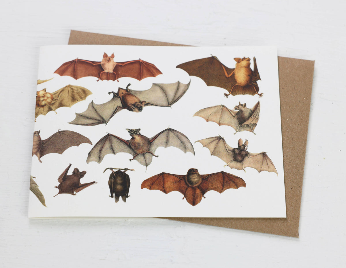 Bats Card