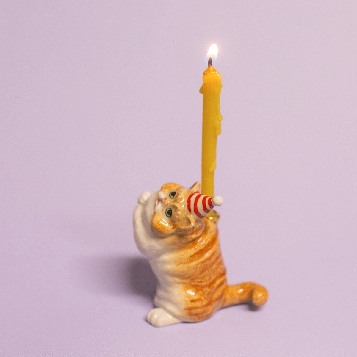 Exotic Shorthair Cat Cake Topper