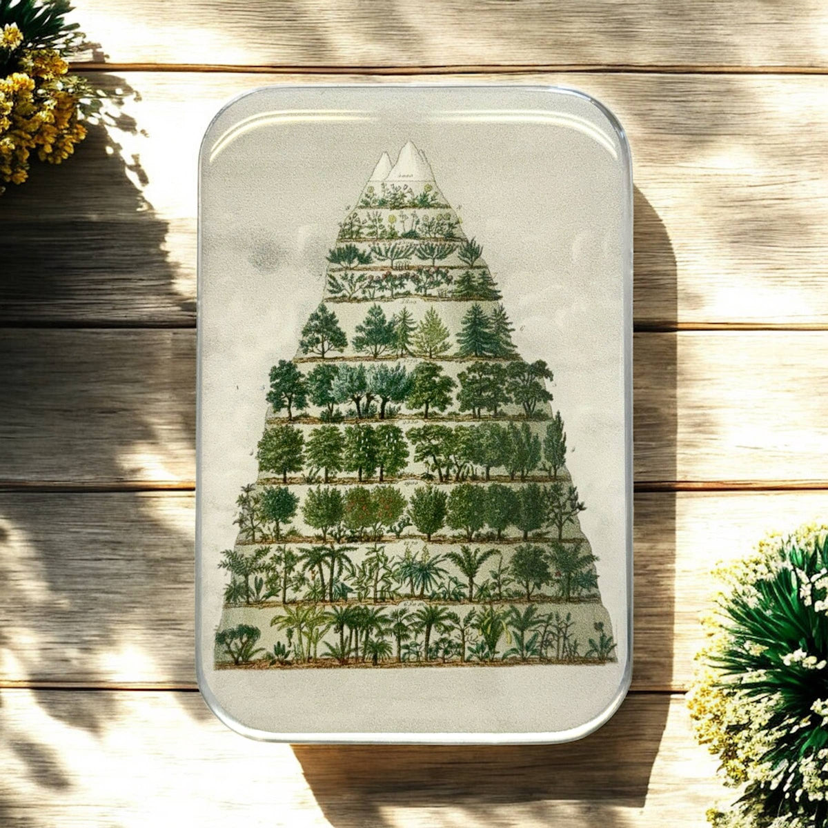 Nature Meets Nostalgia – Large Tin 