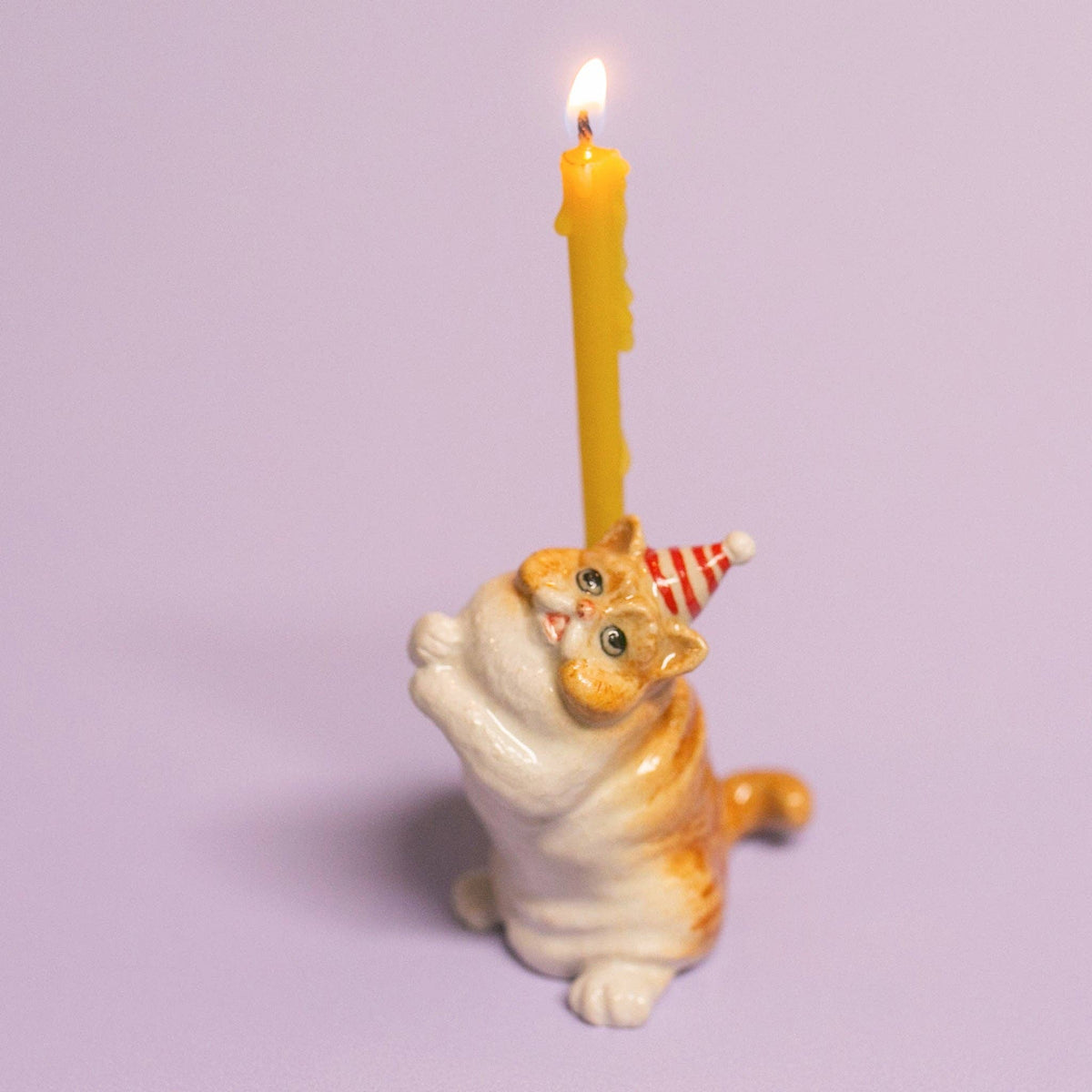 Exotic Shorthair Cat Cake Topper