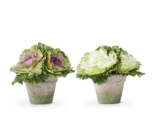 Faux Cabbages in Pots (8")