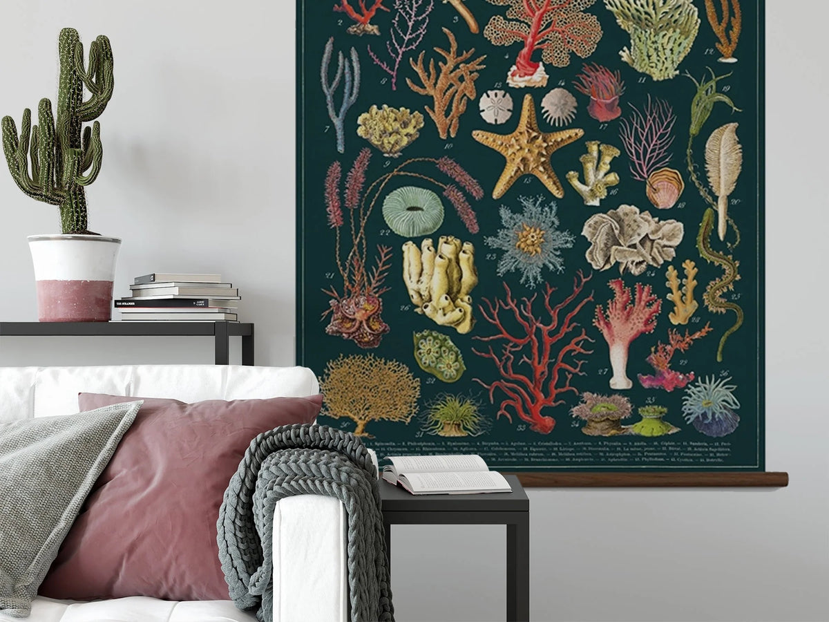 Vintage School Chart