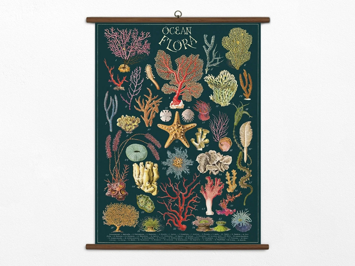 Vintage School Chart