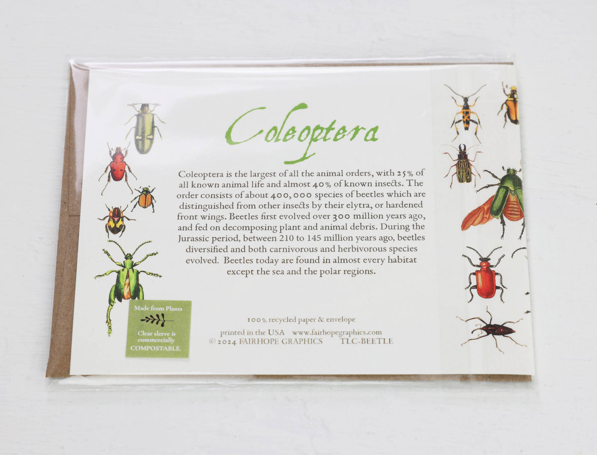 Beetles Card