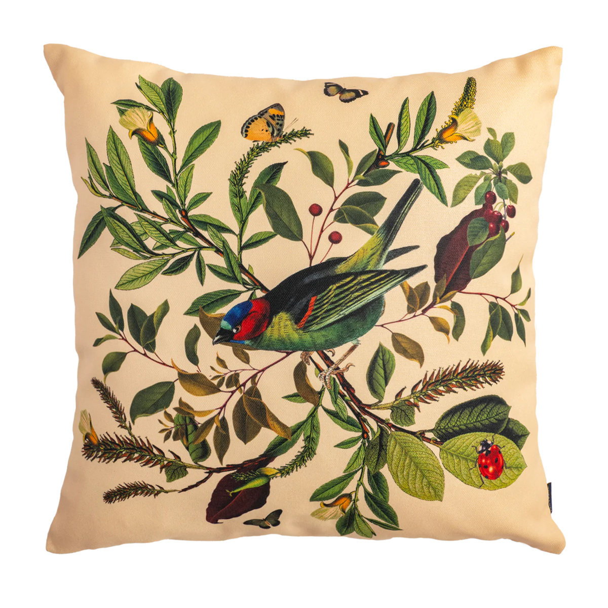 Classic Birds - Muzaluci Velvet Pillow