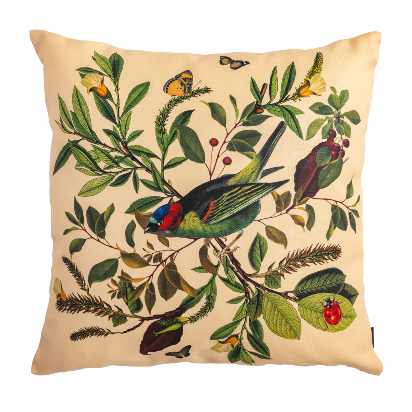 Classic Birds - Muzaluci Velvet Pillow