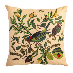 Classic Birds - Muzaluci Velvet Pillow