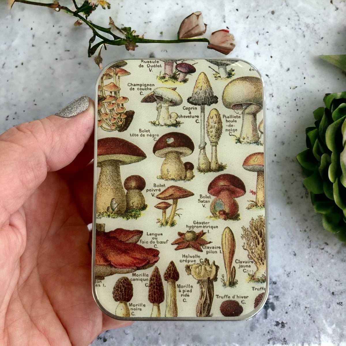Mushroom Storage Tin: Small
